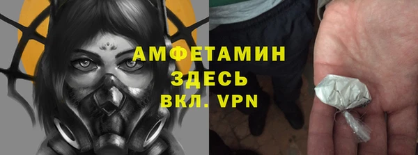apvp Инта