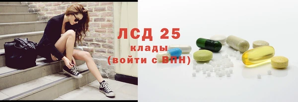 apvp Инта