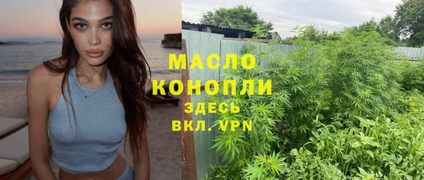 Альфа ПВП Инсар