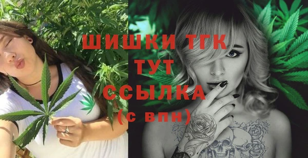 Альфа ПВП Инсар