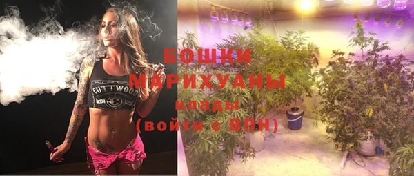 apvp Инта