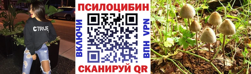 Галлюциногенные грибы мицелий  Купить  Пионерский 