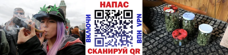 Купить Пионерский Марихуана сатива